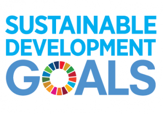 masimpact is aligned with leading international frameworks measuring impact: SDGs, LBG & ONLBG.